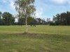 Bilde 8