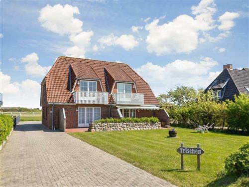 Holiday Home/Apartment - 3 persons -  - Kirchenstraße - 25826 - St. Peter-Ording