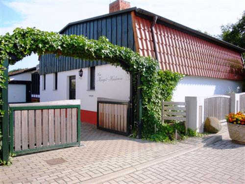 Ferieleilighet - 3 personer -  - Finkenweg - 17424 - Heringsdorf (Seebad)