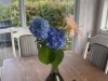 Bild 17