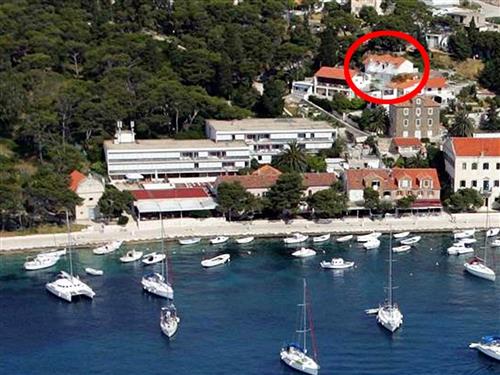 Holiday apartment - 3 persons -  - Milana Kukurina - 21450 - Hvar