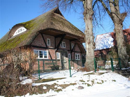 Ferienhaus - 3 Personen -  - Lindenstraße - 18347 - Wustrow