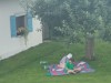 Bilde 3