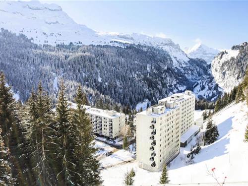 Ferieleilighet - 4 personer -  - 74300 - Araches La Frasse