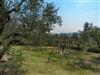 Bild 24 - Aussen