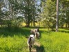Billede 7