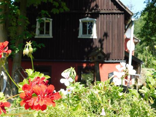 Ferielejlighed - 4 personer -  - An der Bahra - 01816 - Bad Gottleuba-Berggießhüb