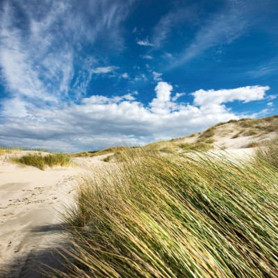 Billede 4