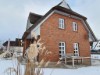 Bilde 45