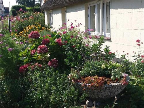 Semesterlägenhet - 3 personer -  - Dörpstrat - 18586 - Klein Zicker