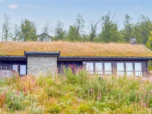 Feriehus - 13 personer -  - Svineglupvegen - Vierli - 3864 - Rauland