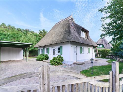 Ferienhaus - 6 Personen -  - Kiefernweg - 17449 - Karlshagen