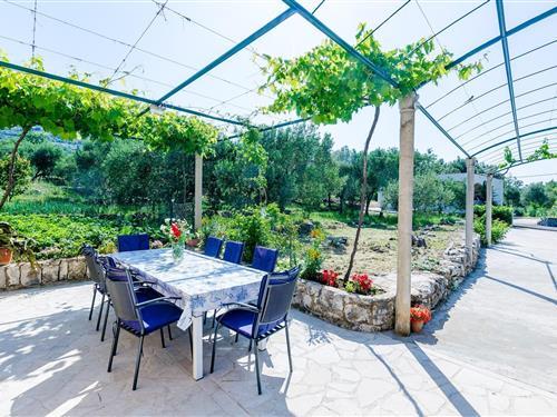 Ferielejlighed - 3 personer -  - 20232 - Slano