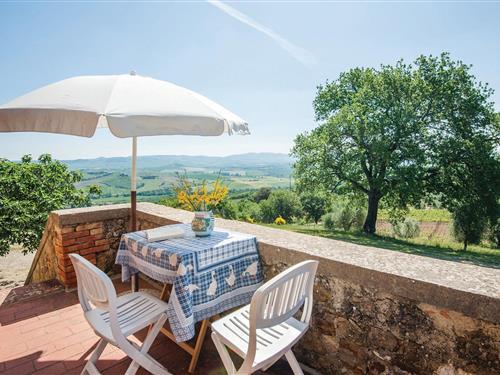 Holiday Home/Apartment - 2 persons -  - Podere Schivanoia - S. Quirico D'orcia - 53027 - S. Quirico D'orcia Si