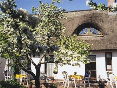 Ferielejlighed - 2 personer -  - An den Rehwiesen - 17449 - Karlshagen