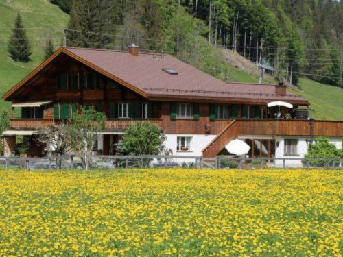 Ferieleilighet - 2 personer -  - 3780 - Gstaad