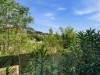 Image 11 - Outside