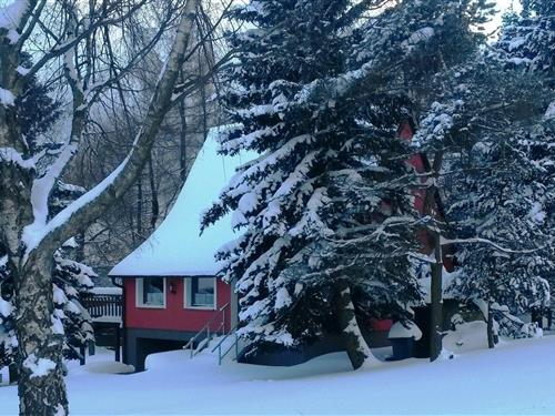 Sommerhus - 8 personer -  - 43001 - Mezihorí