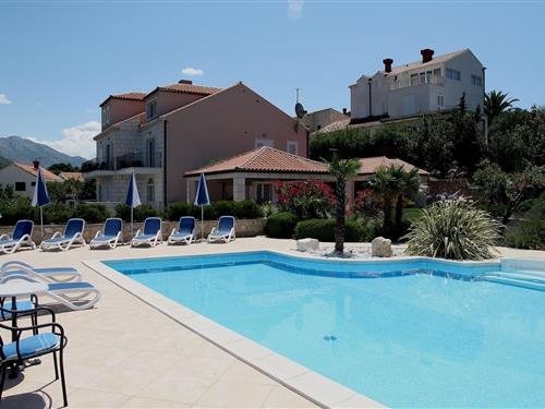 Holiday apartment - 5 persons -  - 20210 - Cavtat