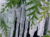 Bild 20