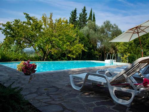 Holiday Home/Apartment - 6 persons -  - 56037 - Ghizzano Di Peccioli