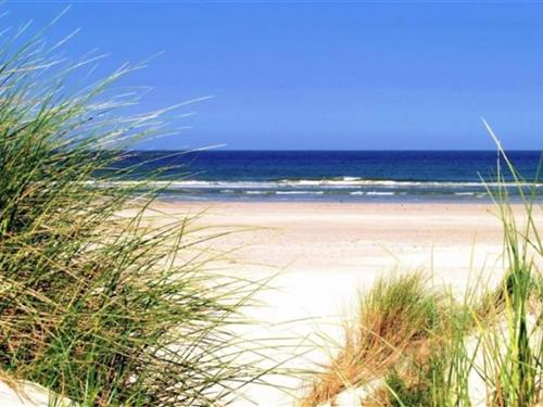 Sommerhus - 6 personer -  - 3896LS - Zeewolde