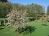 Bild 13