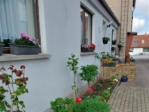 Holiday Home/Apartment - 2 persons -  - Greifswalder Chaussee - 18439 - Stralsund