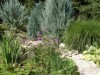 Bild 20