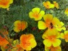 Image 28 - Outside