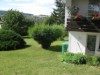 Bilde 5