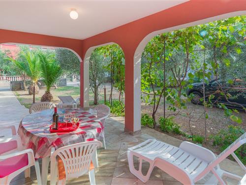 Ferielejlighed - 4 personer -  - Ulica Soldatica IX - 23234 - Vir