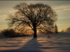 Bild 36