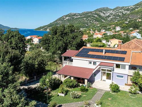 Ferieleilighet - 2 personer -  - Viganj - Peljesac - Viganj - 20267 - Viganj