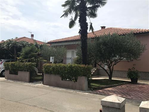 Ferieleilighet - 4 personer -  - Viktora Cara Emina - 52470 - Umag