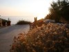 Bild 18