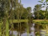 Bild 16