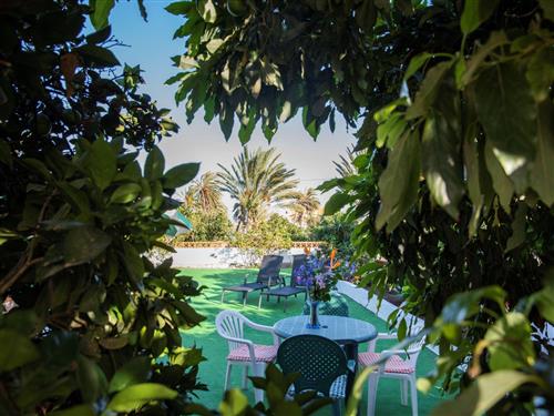 Fritidshus - 5 personer -  - Hermigua - 38820