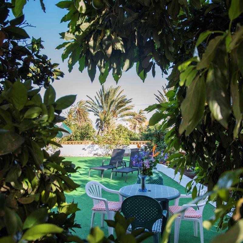 Sommerhus - 5 personer -  - Hermigua - 38820