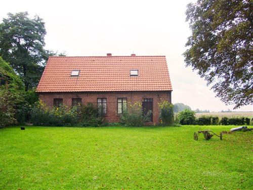 Ferienhaus - 5 Personen -  - Myslibórz - 74-300