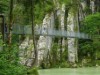 Bild 36