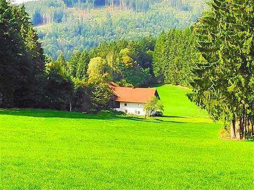 Ferieleilighet - 9 personer -  - Ramersdorf - 94262 - Kollnburg