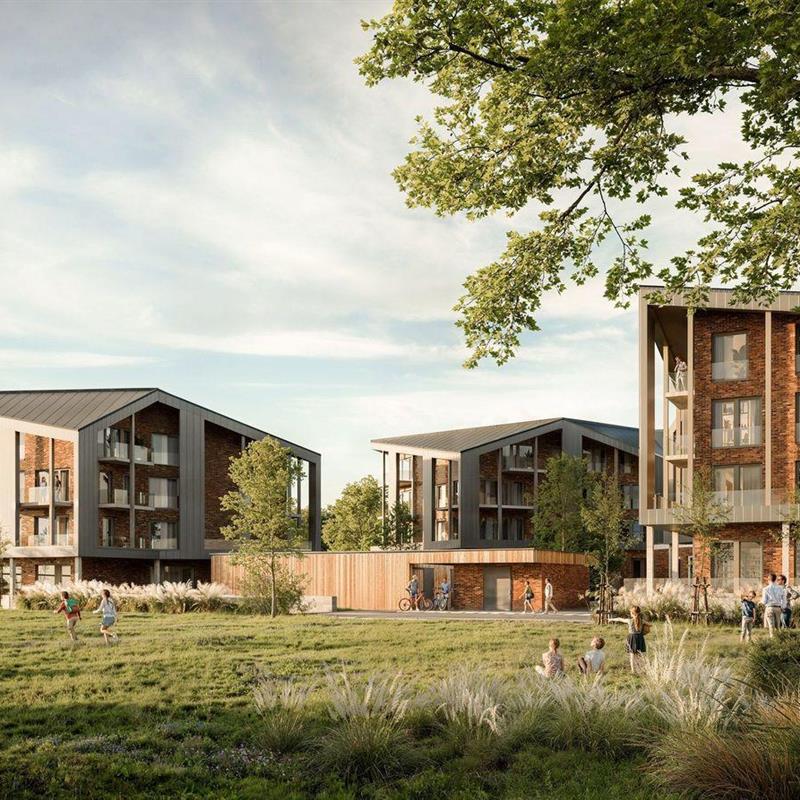 Ferielejlighed - 4 personer -  - Nordseestrasse - 25899 - Dagebüll