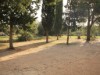 Billede 16