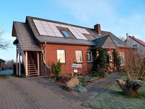 Ferieleilighet - 4 personer -  - Sabeler Str. - 18299 - Hohen Sprenz