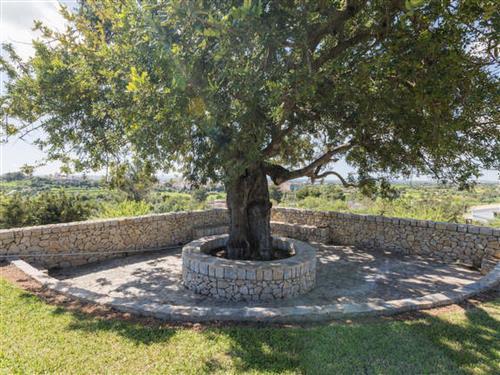 Fritidshus - 8 personer -  - Inca - 07300