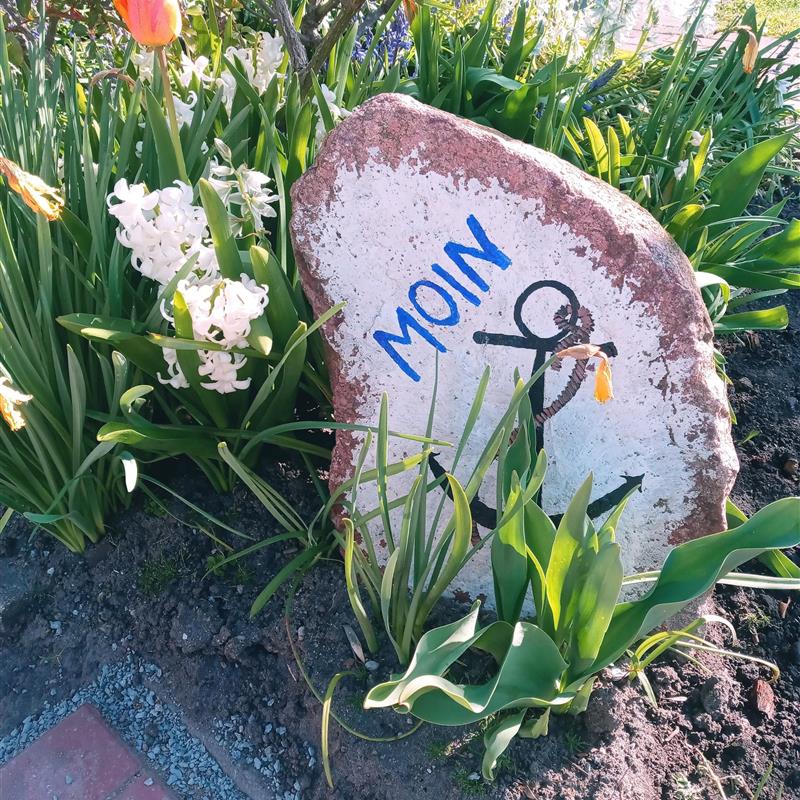 Ferielejlighed - 4 personer -  - Gammendorfer Str. - 23769 - Fehmarn Ot Dänschendorf