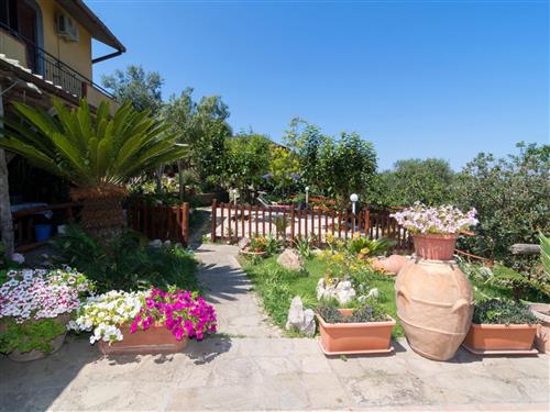 Semesterlägenhet - 4 personer -  - Massa Lubrense - 80061