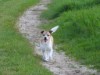 Bild 22