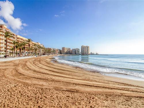 Ferielejlighed - 3 personer -  - Calle Zoa - 03182 - Torrevieja